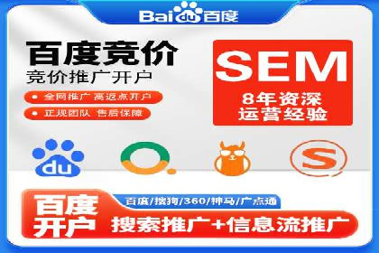 SEM托管公司案例分析：实战技巧全解析